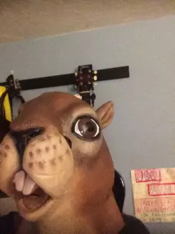 1743385665200.png