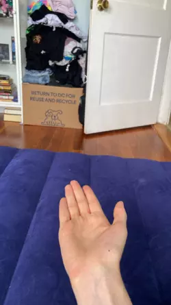 1743391161549.png