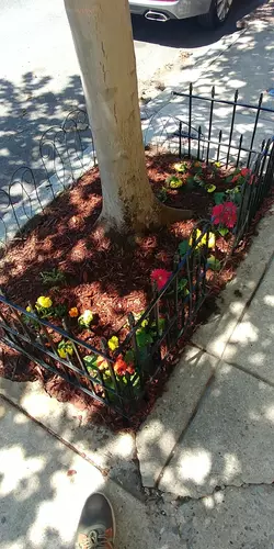 Switched from a car to a bike 5 years ago. Here's some pics from some of my larger hauls. (18).jpg