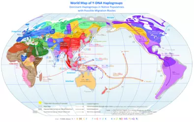 1920px-World_Map_of_Y-DNA_Haplogroups.png