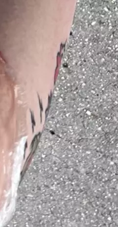 1743407705895.png