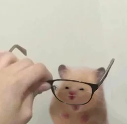 GnTrFqtWcAAgwth.jpg