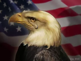 dfd5gvt-24014164-199c-4209-a1c7-3909489af76d-4055804612.jpg