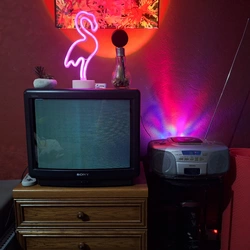 20250328_190934.jpg