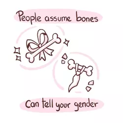 bones2.jpg