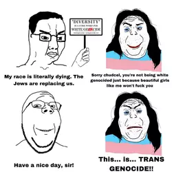 1743468048251.png