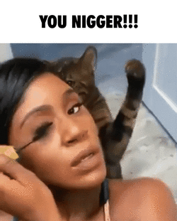 cathands.gif