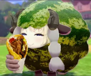 Watamelon Gyros.png