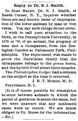 human-chimpanzee-hybrid-265-411-49.webp