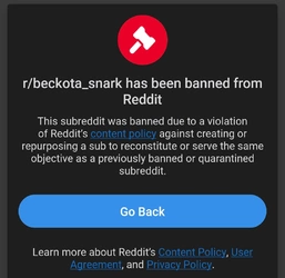 Screenshot_20250401_200730_Reddit.jpg