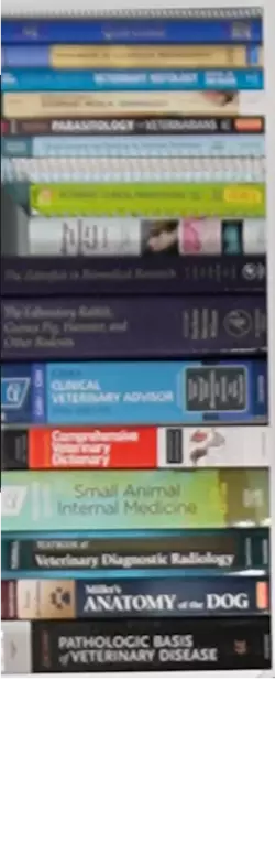 1743540084095.png