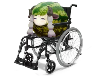 Wheelchair.png