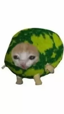 1743556920413.png