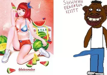 taiwan-has-the-worlds-best-watermelon-sheeit.jpg