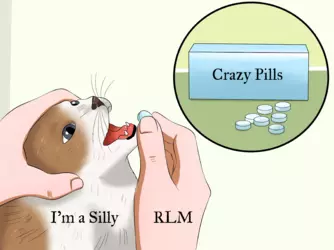 crazy.pills.png