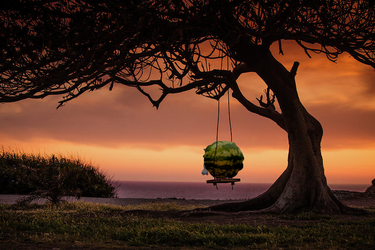 Swingset.jpg