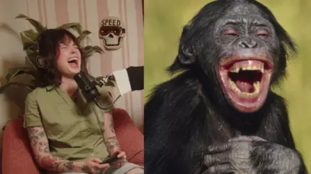 chimp anus.png chimp anus.png