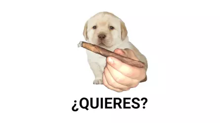 1743606778563.png