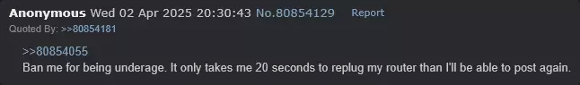 1743645358461.png