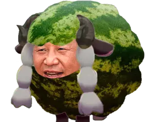Ximelon.png