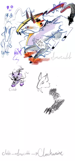 3642caf2-074a-4957-a0bd-b86911770b2e.png