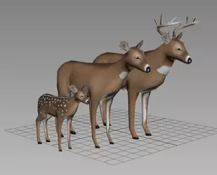 deer_oh_deer-768x623.png