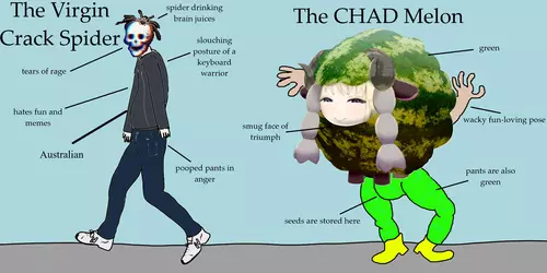 melon vs spider-fixed.png