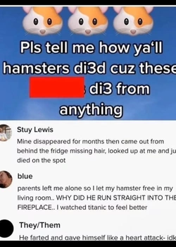 1743658958108.jpeg