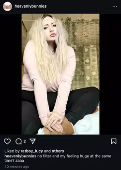 1743677370027.png