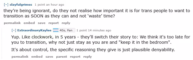 Screenshot 2025-04-03 at 13-54-18 Parents denied HRT and puberty blockers MtF.png