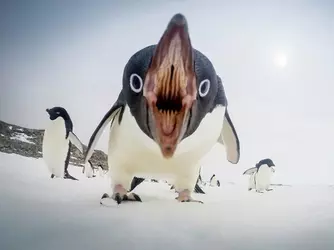 1000001294.jpg