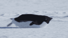 on-the-way-yay.gif