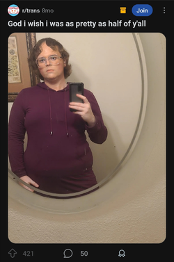 Screenshot_20250403_192329_Reddit.jpg