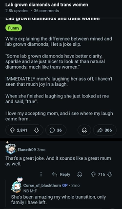 Screenshot_20250403_192151_Reddit.jpg