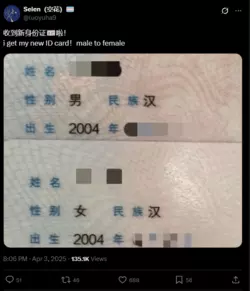 1743784908569.png