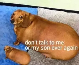 1743787905506.png