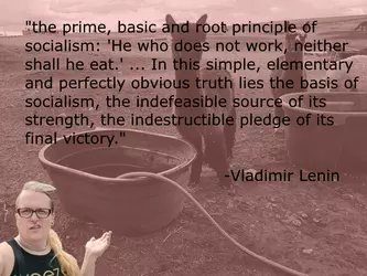 kevinlenin.png