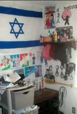adf-ahuviya-harel-israel-phase.png