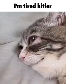 1735601153919128.gif