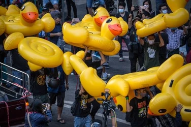 pro-democracy-protesters-carrying-inflatable-yellow-ducks-during-440nw-11021852b.jpg