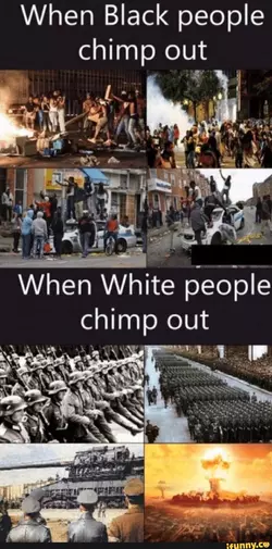 whitechimpout.jpg