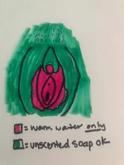 1743912800381.png