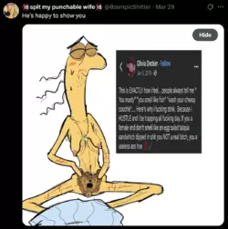 ISLAMICVAG.png