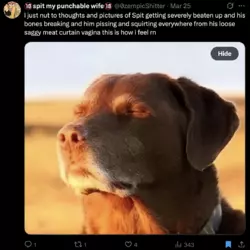 saggy meat curtain vagina.png