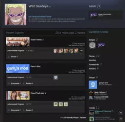 Wild Deadeye Steam account screenshot Wild Deadeye Steam account screenshot