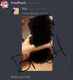 tcsdickpickpeachypov.png