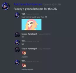 31.1 whatevenisthisexcusemewhat.png