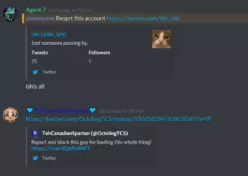 attemptedmassreportonme.png