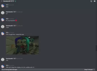 TCSNamisina46WeirdChat5.png