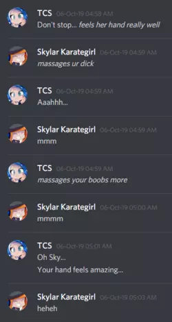TCS-Skylar erp (1).png